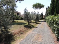 Podere Il Mulino Bed & Breakfast Toscana